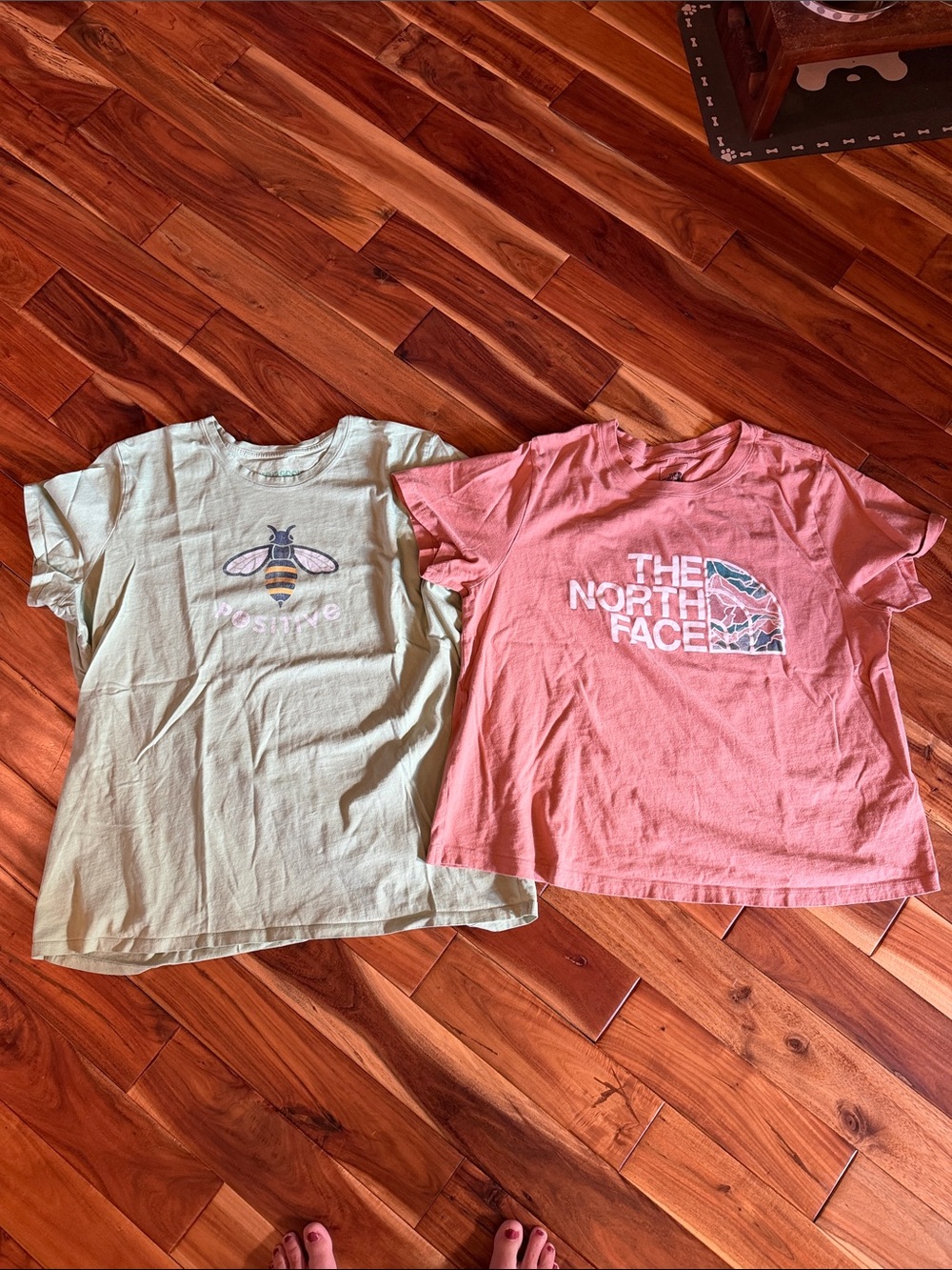 The North Face & Life is Good T-Shirts Light Green & Rust Logo Tee